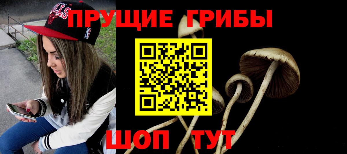 как найти закладки  Вход с VPN  Красный Сулин  Галлюциногенные грибы прущие грибы 