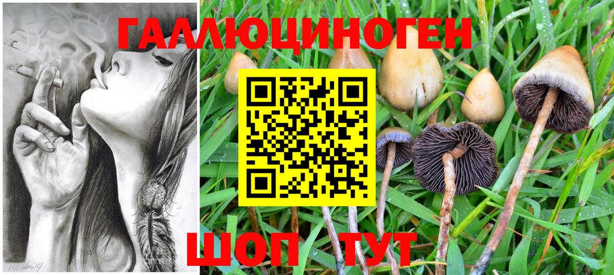 Амфетамин кристаллы  A-PVP СОЛЬ кристаллы  Красный Сулин  Вход с VPN  ГАШИШ  Мефедрон кристаллы  Бошки Шишки 